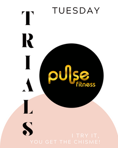 Tuesday Trials: Pulse Fitness Experience